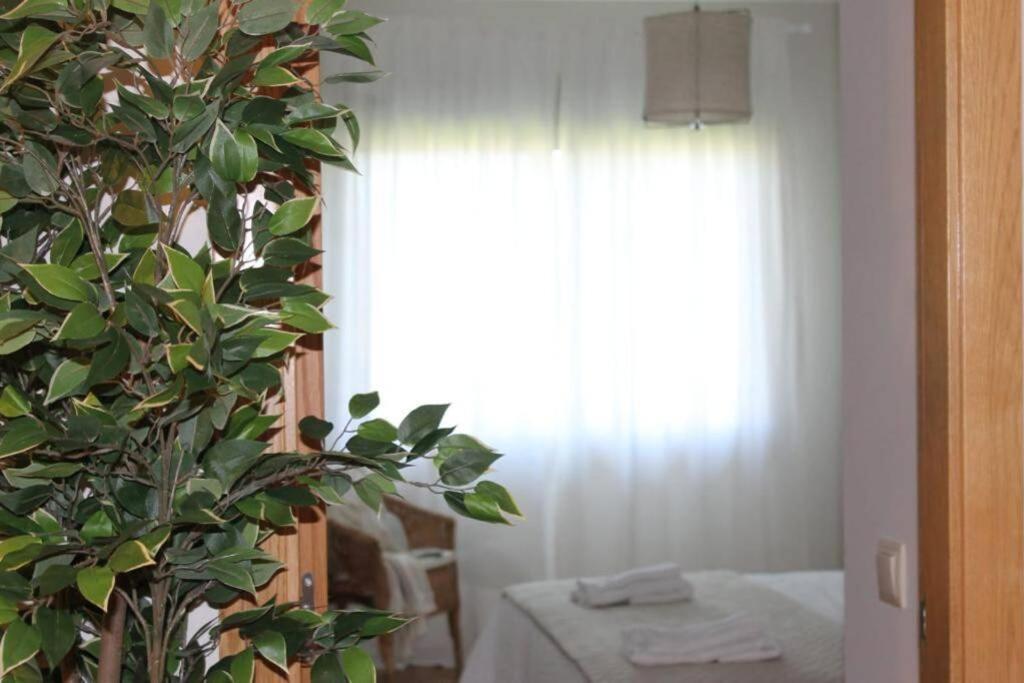Apartamento Riomar Ribadumia Exterior photo